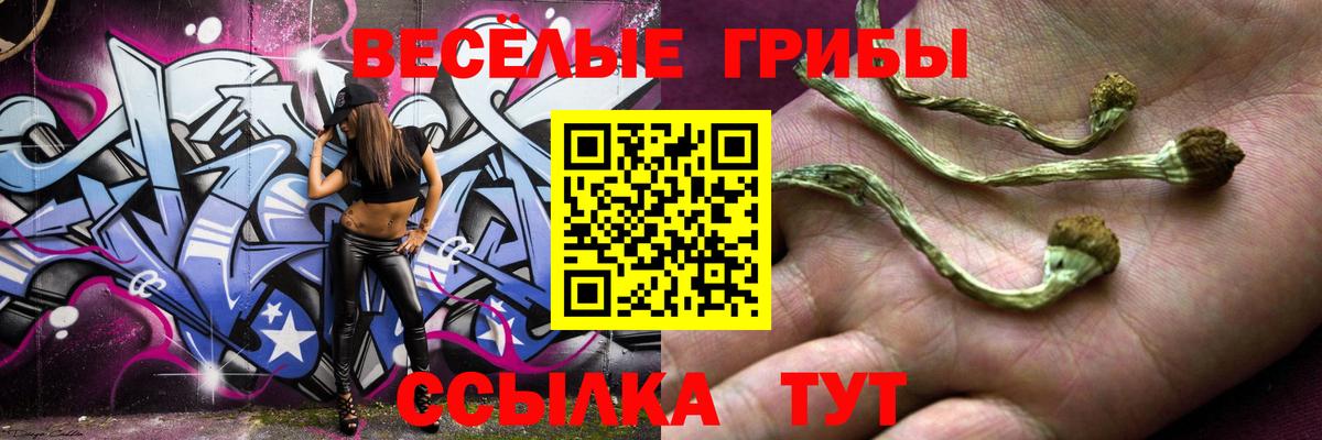 Галлюциногенные грибы Magic Shrooms  Вход с VPN  Знаменск  Галлюциногенные грибы ЛСД 
